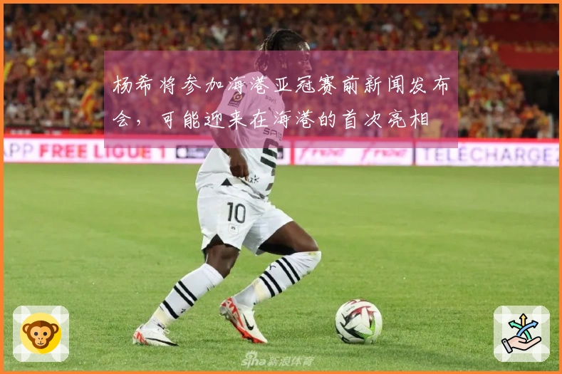 杨希将参加海港亚冠赛前新闻发布会，可能迎来在海港的首次亮相